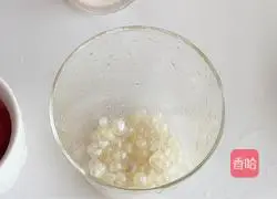 Illustration of how to make cranberry soda 4