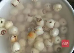 Illustration of Tremella Lotus Seed Soup 5