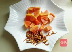 Cordyceps Flower Papaya Pork Ribs Soup Illustration 4