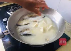 Illustration of how to make crucian carp, winter melon and tofu soup 5