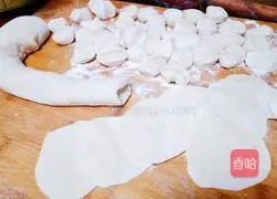 Illustration of how to make vegetarian dumplings with three fresh fillings 7