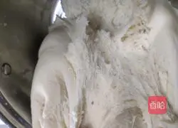 Illustration of vegetarian steamed buns~white steamed buns 11