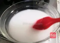 Illustration of how to make pot sticker dumplings stuffed with green and white radish and meat 13