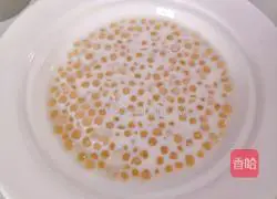 Watermelon Sago Recipe Illustration 6