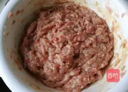 Illustration of how to make pork and shrimp dumplings 2