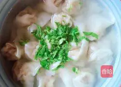 Illustration of how to make wonton 9