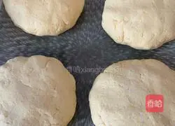 Tangzi Illustration of how to do it 3