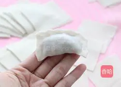 Illustration of making handmade fresh meat wontons 8