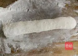 Illustration of the electric pancake version of mutton pie 6