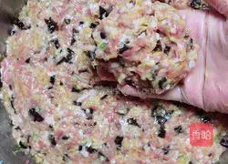 Northeast Pickled Cabbage and Pork Dumplings (Lazy Man Kuaishou Version) Recipe Illustration 7