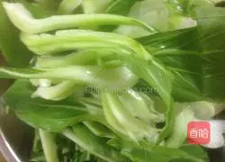 Illustration of braised noodles 4