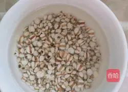 Winter Melon, Barley and Pork Ribs Soup Recipe Illustration 2