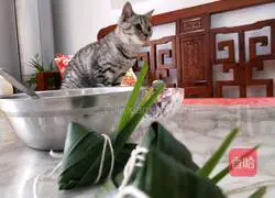 Illustration of how to make crystal rice dumplings 9