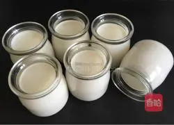 Illustration of how to make original yogurt 8