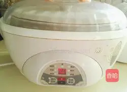 How to make homemade mango yogurt Illustration 7