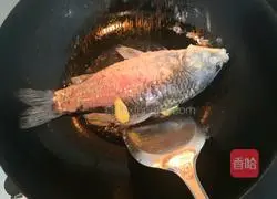Illustration of how to make crucian carp and winter melon soup 7