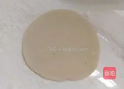 Illustration of making pure handmade mushroom and pork dumplings 5