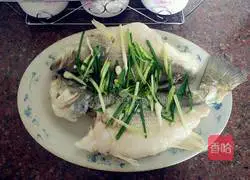 Illustration of steamed seabass 4