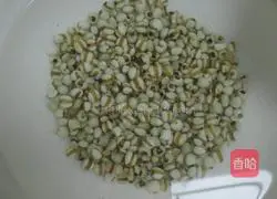 Barley Lemonade Recipe Illustration 2