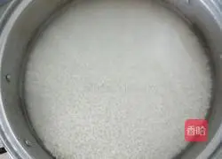 Illustration of homemade sweet rice wine 1