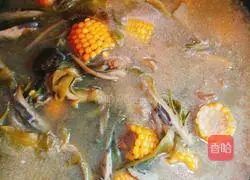 Bawang Hua Hai Huang San Bao Corn Chicken Soup Recipe Illustration 10