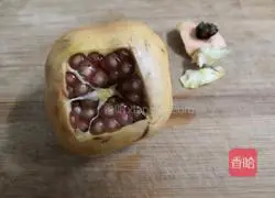 Pomegranate Sparkling Cocktail Recipe Illustration 5