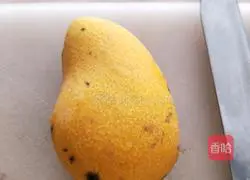 Mango yogurt recipe illustration 1