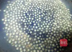 Mango milk sago recipe illustration 2