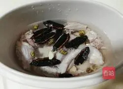 Illustration of how to make Dendrobium Ganoderma and Ganoderma Stewed Chicken Soup 4