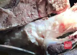 Gardenia Chicken Soup Recipe Illustration 5