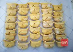 Illustration of handmade dumplings 14