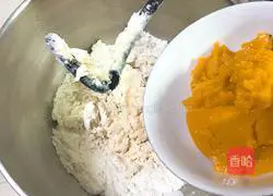 Illustration of how to make pumpkin puree meal packs 5
