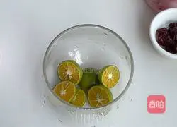 Cranberry Lime Sparkling Water Recipe Illustration 2