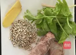 Winter Melon and Barley Bone Soup Recipe Illustration 2