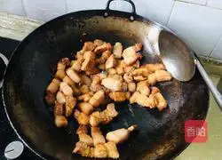 Illustration of braised pork stew 5