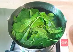 Illustration of how to make mulberry leaf steamed buns 3