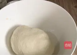 Illustration of how to make shrimp wontons 6