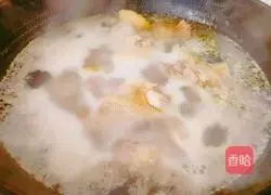 Melon and Mushroom Chicken Soup Recipe Illustration 5