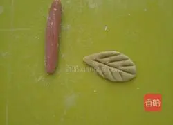 Illustration of how to make avocado steamed buns 11