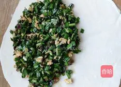 Illustration of how to make leek zygotes 6