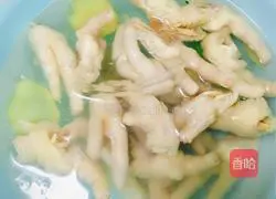 Illustration of Internet celebrity lemon passion fruit chicken feet 5