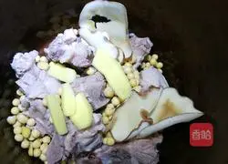 Calcium Supplementing Dragon Bone Soup (Simple Version) Recipe Illustration 3