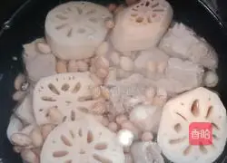 Spring Health Soup Recipe Illustration 6