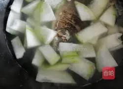 Winter Melon, Coix Seed and Crucian Carp Soup Recipe Illustration 5