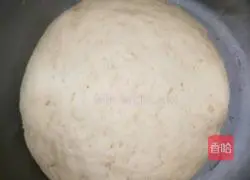 Illustration of how to make a hanging flower roll 1