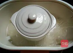 Illustration of Codonopsis and Astragalus Beef Soup 10