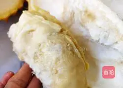 Fruit Creation Vegetable + super nutritious durian chicken soup recipe 2