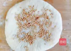 Illustration of how to make salt and pepper pancakes 7