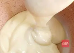 Coconut Milk Recipe Teaching Illustration 7