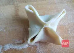 Illustration of how to make steamed dumplings with vegetables and shrimps with blooming flowers and four seasons 9